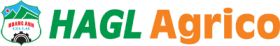 Logo HNG