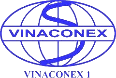 Logo Vinaconex 1