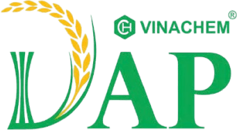 Logo DDV